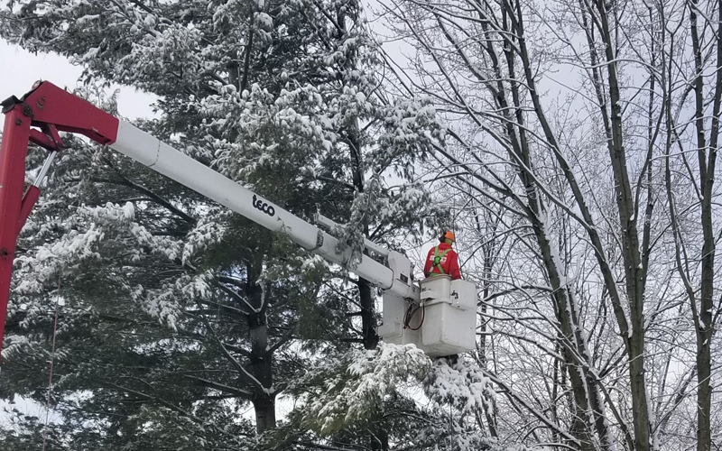 spring-cleanup-grand-haven